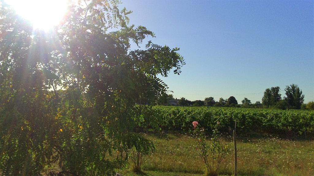 Le Soleil En Gironde Villa Vrillant Eksteriør bilde